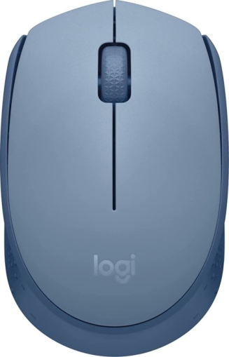 Мишка, Logitech Wireless Mouse M171