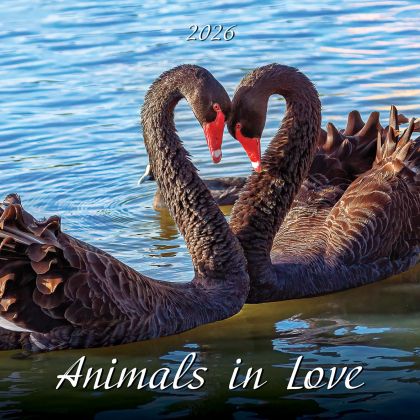 Стенен календар, 12 листов