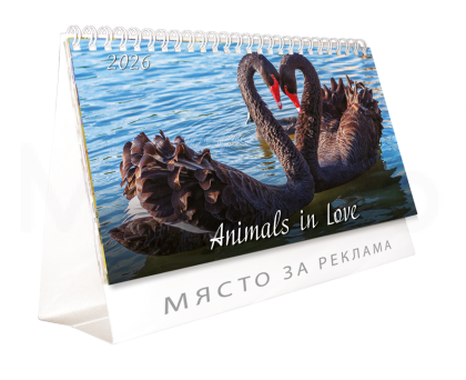 Настолен календар пирамидка със спирала